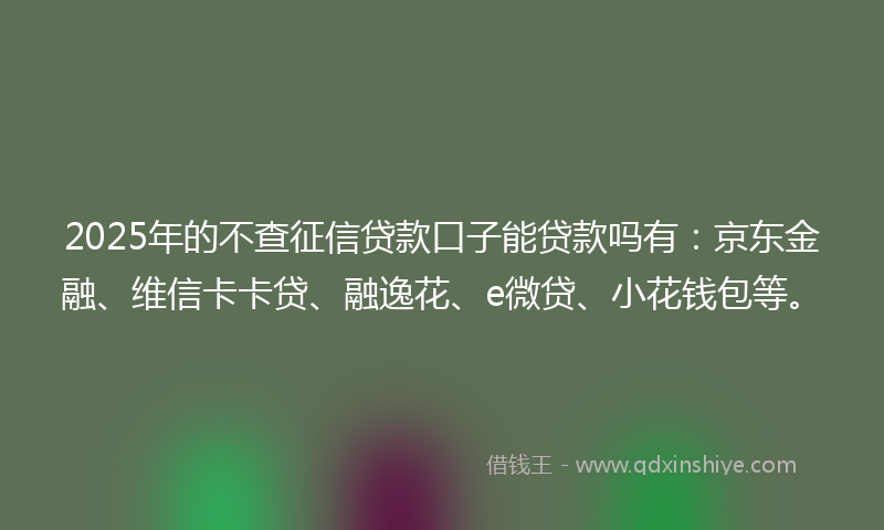2025年的不查征信贷款口子能贷款吗有：京东金融、维信卡卡贷、融逸花、e微贷、小花钱包等。