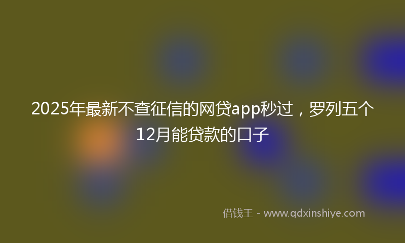 2025年最新不查征信的网贷app秒过，罗列五个12月能贷款的口子