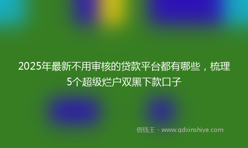 2025年最新不用审核的贷款平台都有哪些，梳理5个超级烂户双黑下款口子