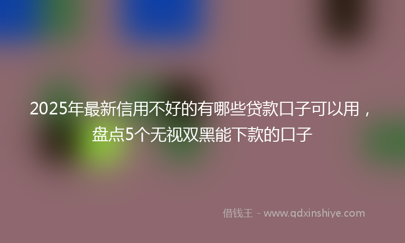 2025年最新信用不好的有哪些贷款口子可以用，盘点5个无视双黑能下款的口子