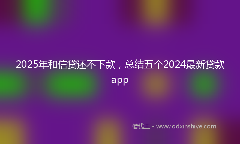 2025年和信贷还不下款，总结五个2024最新贷款app