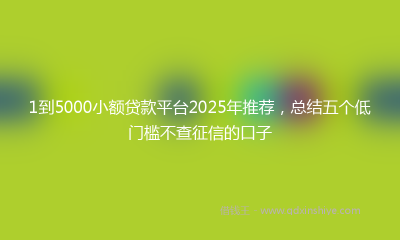 1到5000小额贷款平台2025年推荐，总结五个低门槛不查征信的口子
