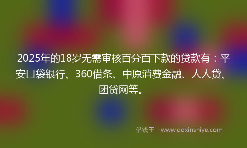 2025年的18岁无需审核百分百下款的贷款有：平安口袋银行、360借条、中原消费金融、人人贷、团贷网等。