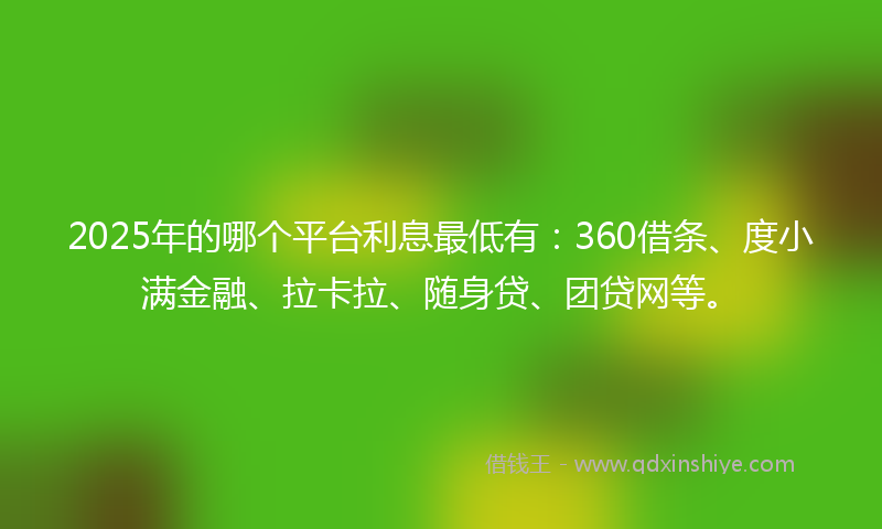2025年的哪个平台利息最低有：360借条、度小满金融、拉卡拉、随身贷、团贷网等。