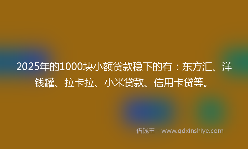 2025年的1000块小额贷款稳下的有：东方汇、洋钱罐、拉卡拉、小米贷款、信用卡贷等。