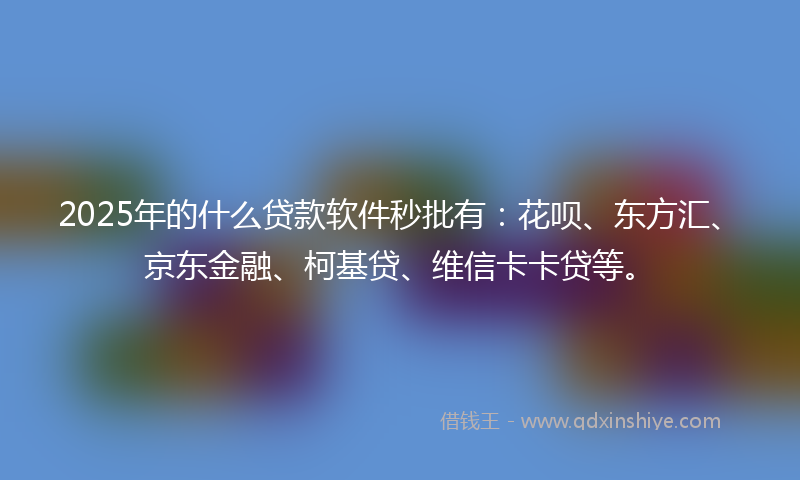 2025年的什么贷款软件秒批有：花呗、东方汇、京东金融、柯基贷、维信卡卡贷等。