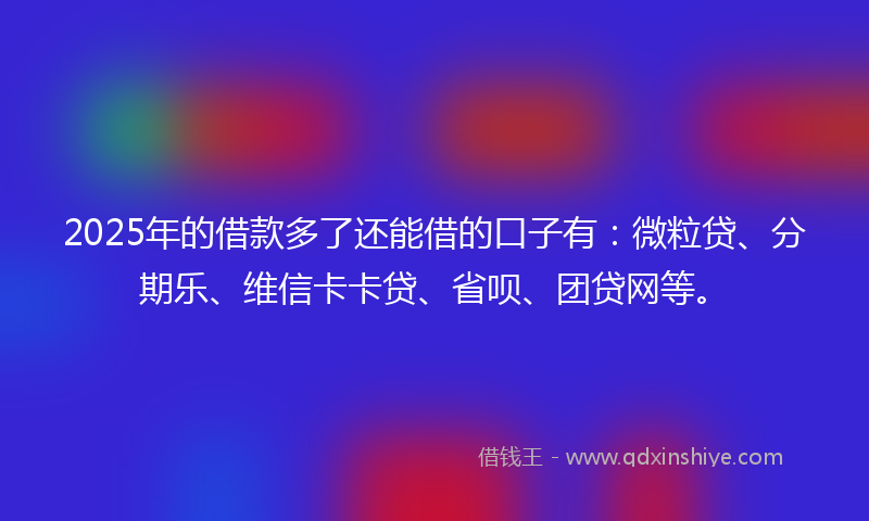 2025年的借款多了还能借的口子有：微粒贷、分期乐、维信卡卡贷、省呗、团贷网等。