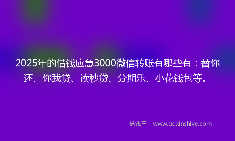 2025年的借钱应急3000微信转账有哪些有：替你还、你我贷、读秒贷、分期乐、小花钱包等。