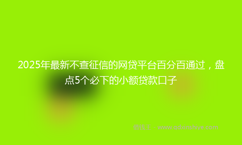 2025年最新不查征信的网贷平台百分百通过，盘点5个必下的小额贷款口子
