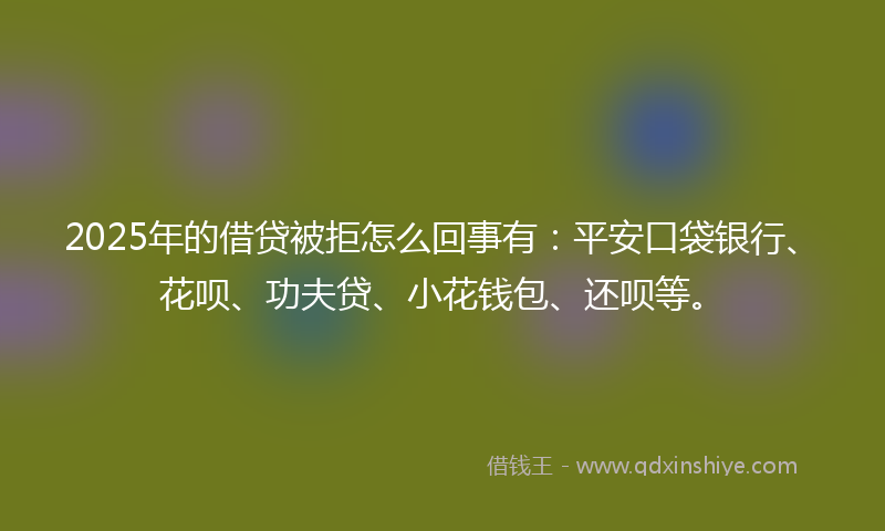 2025年的借贷被拒怎么回事有：平安口袋银行、花呗、功夫贷、小花钱包、还呗等。