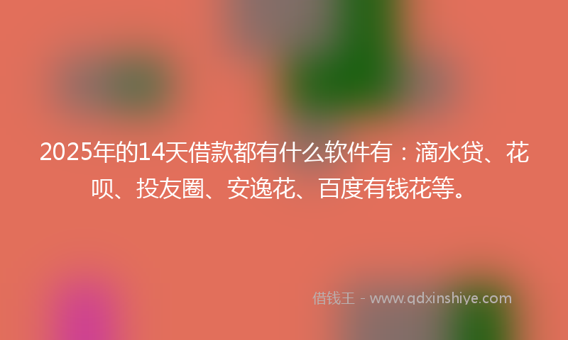2025年的14天借款都有什么软件有：滴水贷、花呗、投友圈、安逸花、百度有钱花等。