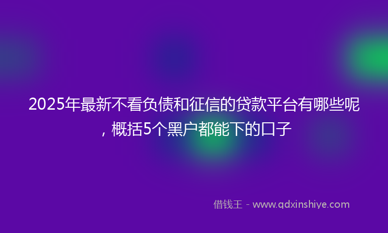 2025年最新不看负债和征信的贷款平台有哪些呢，概括5个黑户都能下的口子