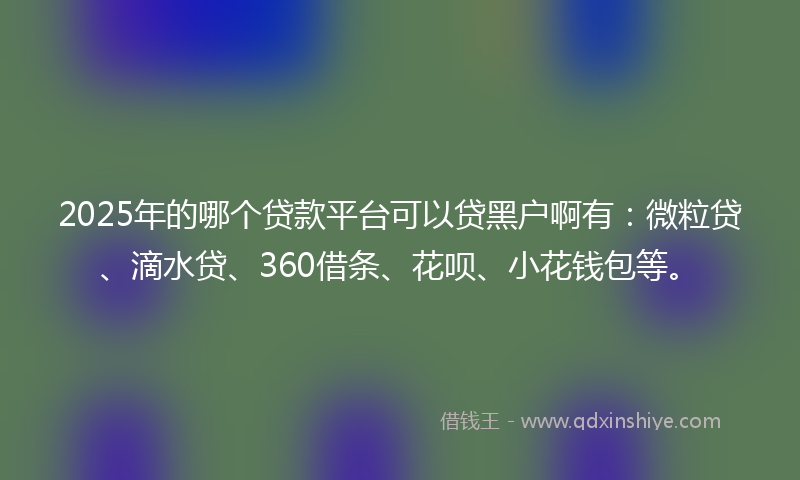 2025年的哪个贷款平台可以贷黑户啊有：微粒贷、滴水贷、360借条、花呗、小花钱包等。