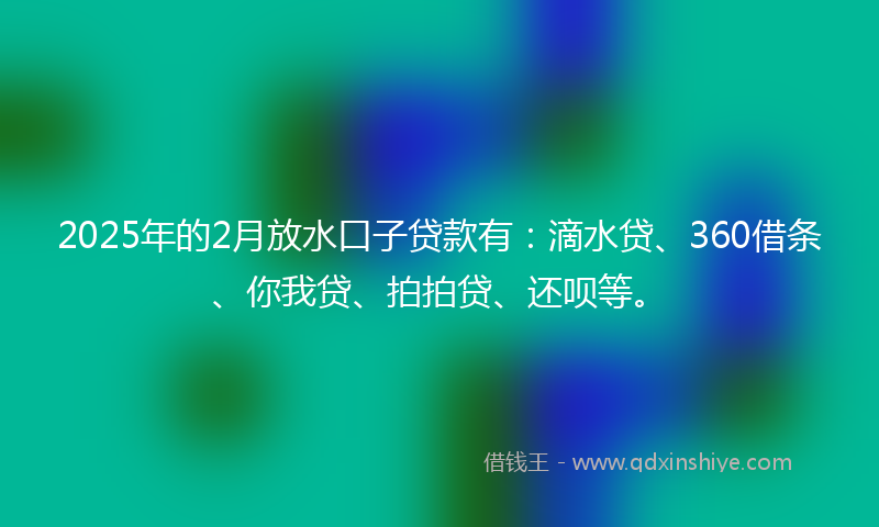 2025年的2月放水口子贷款有：滴水贷、360借条、你我贷、拍拍贷、还呗等。