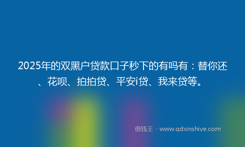 2025年的双黑户贷款口子秒下的有吗有：替你还、花呗、拍拍贷、平安i贷、我来贷等。