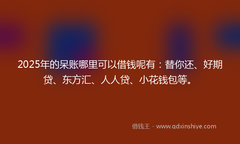 2025年的呆账哪里可以借钱呢有：替你还、好期贷、东方汇、人人贷、小花钱包等。