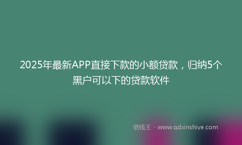 2025年最新APP直接下款的小额贷款，归纳5个黑户可以下的贷款软件