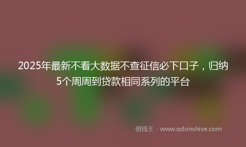 2025年最新不看大数据不查征信必下口子，归纳5个周周到贷款相同系列的平台
