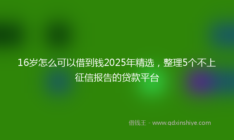 16岁怎么可以借到钱2025年精选，整理5个不上征信报告的贷款平台