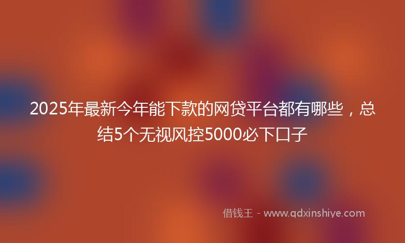 2025年最新今年能下款的网贷平台都有哪些，总结5个无视风控5000必下口子