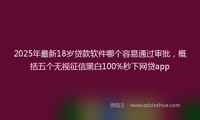 2025年最新18岁贷款软件哪个容易通过审批，概括五个无视征信黑白100%秒下网贷app