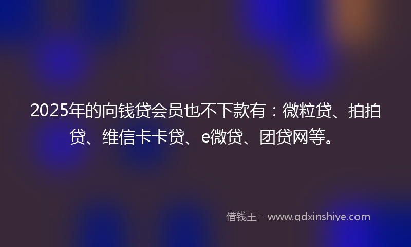 2025年的向钱贷会员也不下款有：微粒贷、拍拍贷、维信卡卡贷、e微贷、团贷网等。