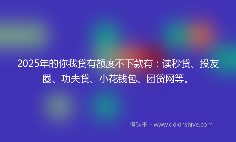 2025年的你我贷有额度不下款有：读秒贷、投友圈、功夫贷、小花钱包、团贷网等。
