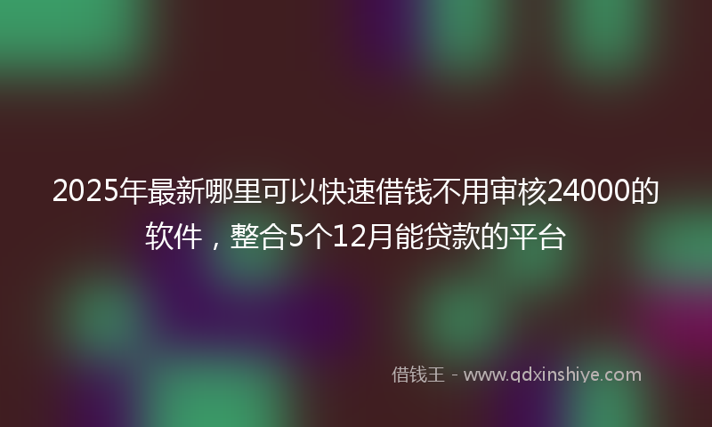 2025年最新哪里可以快速借钱不用审核24000的软件，整合5个12月能贷款的平台