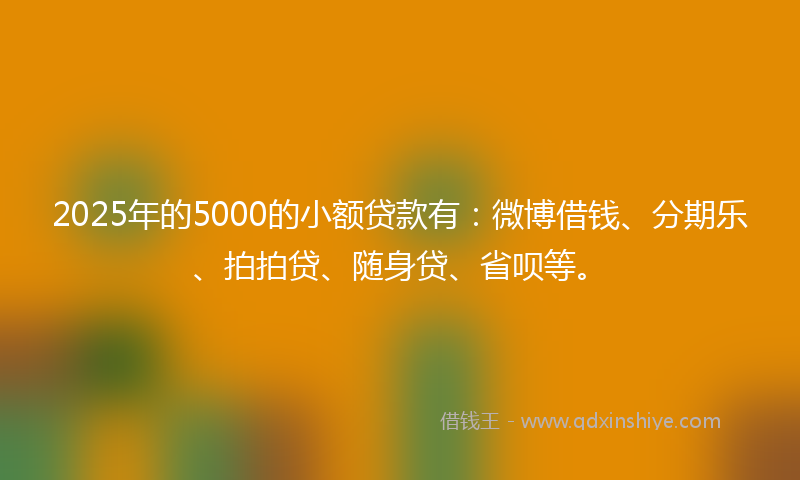 2025年的5000的小额贷款有：微博借钱、分期乐、拍拍贷、随身贷、省呗等。