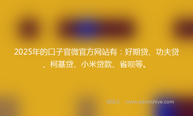2025年的口子官微官方网站有：好期贷、功夫贷、柯基贷、小米贷款、省呗等。