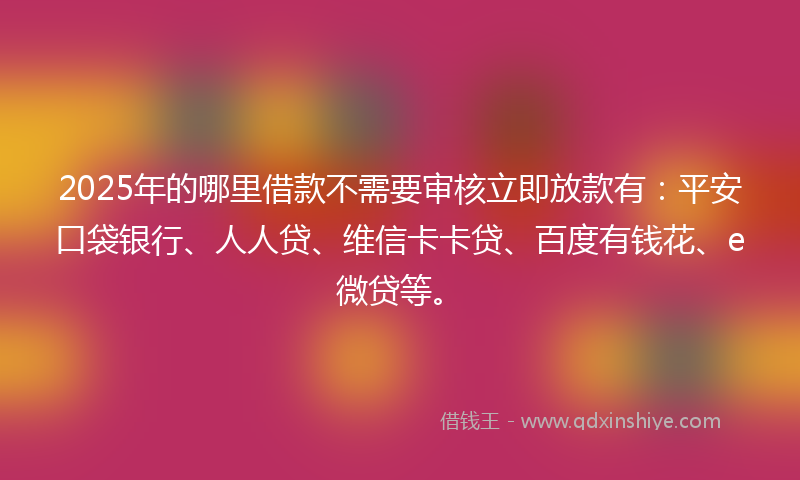 2025年的哪里借款不需要审核立即放款有：平安口袋银行、人人贷、维信卡卡贷、百度有钱花、e微贷等。