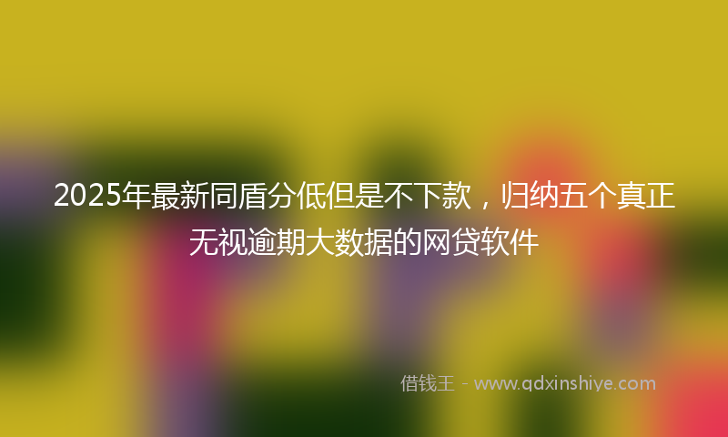 2025年最新同盾分低但是不下款，归纳五个真正无视逾期大数据的网贷软件