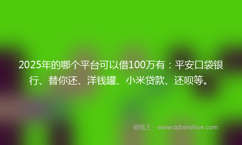 2025年的哪个平台可以借100万有：平安口袋银行、替你还、洋钱罐、小米贷款、还呗等。