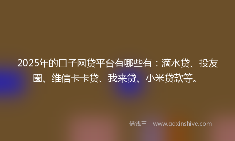 2025年的口子网贷平台有哪些有：滴水贷、投友圈、维信卡卡贷、我来贷、小米贷款等。