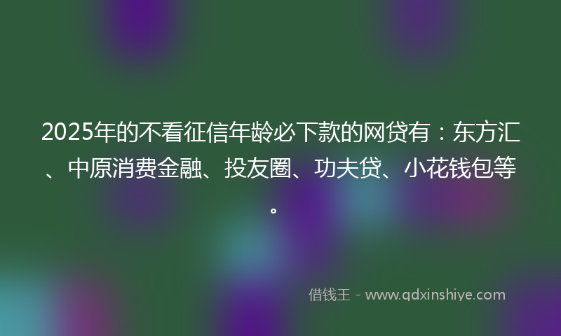 2025年的不看征信年龄必下款的网贷有:东方汇、中原消费金融、投友圈、功夫贷、小花钱包等。