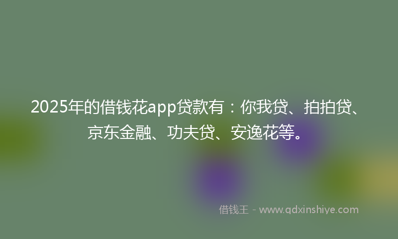 2025年的借钱花app贷款有：你我贷、拍拍贷、京东金融、功夫贷、安逸花等。