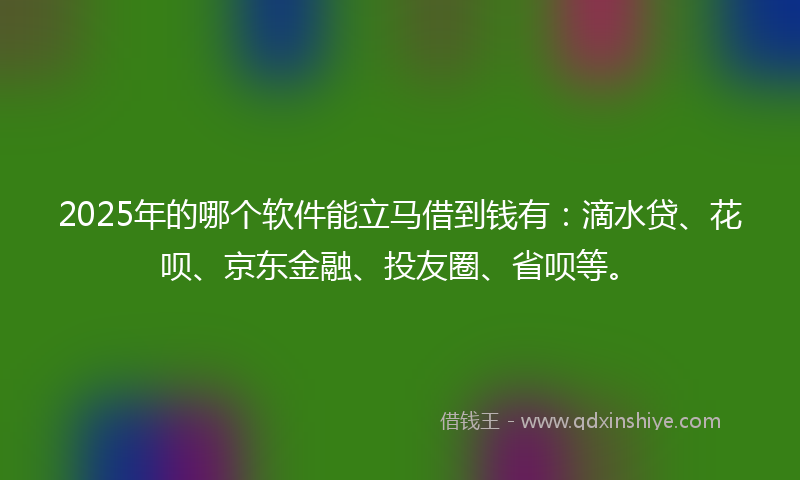 2025年的哪个软件能立马借到钱有：滴水贷、花呗、京东金融、投友圈、省呗等。