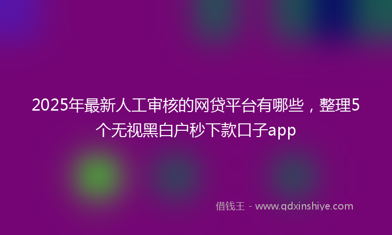 2025年最新人工审核的网贷平台有哪些，整理5个无视黑白户秒下款口子app
