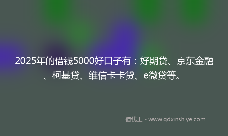 2025年的借钱5000好口子有：好期贷、京东金融、柯基贷、维信卡卡贷、e微贷等。