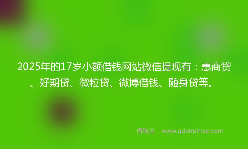 2025年的17岁小额借钱网站微信提现有：惠商贷、好期贷、微粒贷、微博借钱、随身贷等。