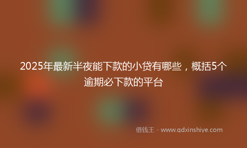 2025年最新半夜能下款的小贷有哪些，概括5个逾期必下款的平台