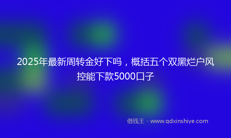 2025年最新周转金好下吗，概括五个双黑烂户风控能下款5000口子