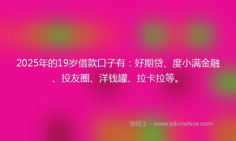 2025年的19岁借款口子有：好期贷、度小满金融、投友圈、洋钱罐、拉卡拉等。