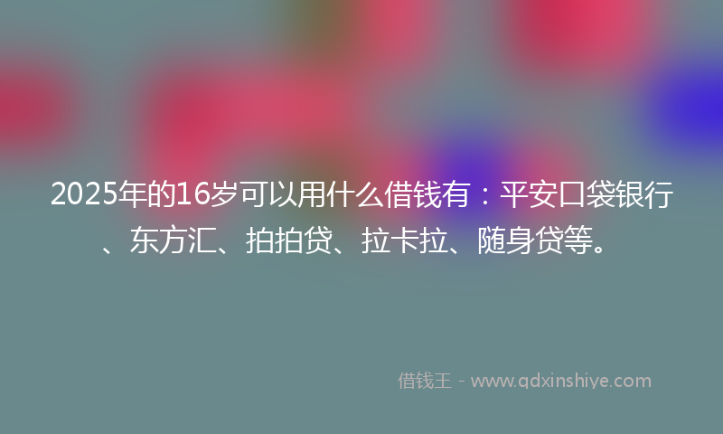 2025年的16岁可以用什么借钱有：平安口袋银行、东方汇、拍拍贷、拉卡拉、随身贷等。