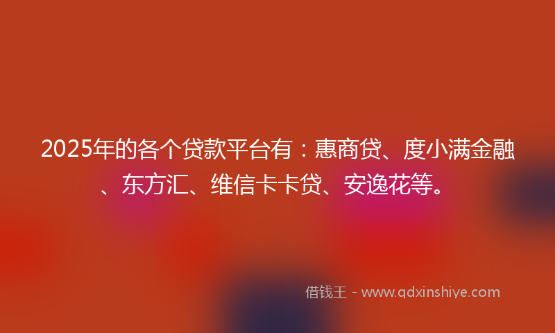 2025年的各个贷款平台有：惠商贷、度小满金融、东方汇、维信卡卡贷、安逸花等。