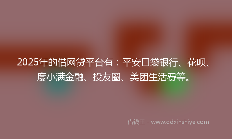 2025年的借网贷平台有：平安口袋银行、花呗、度小满金融、投友圈、美团生活费等。