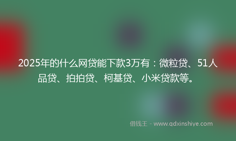 2025年的什么网贷能下款3万有：微粒贷、51人品贷、拍拍贷、柯基贷、小米贷款等。