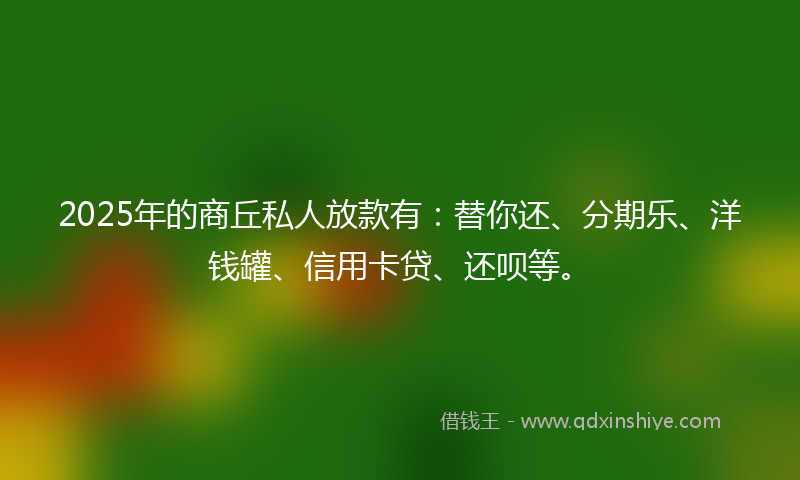 2025年的商丘私人放款有：替你还、分期乐、洋钱罐、信用卡贷、还呗等。