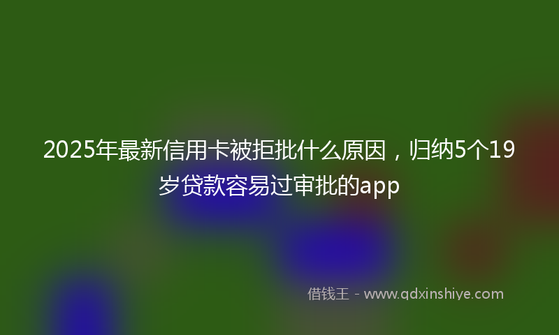 2025年最新信用卡被拒批什么原因，归纳5个19岁贷款容易过审批的app