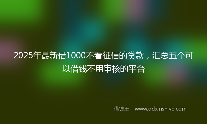 2025年最新借1000不看征信的贷款，汇总五个可以借钱不用审核的平台